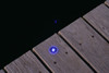 Solar Dock Lights