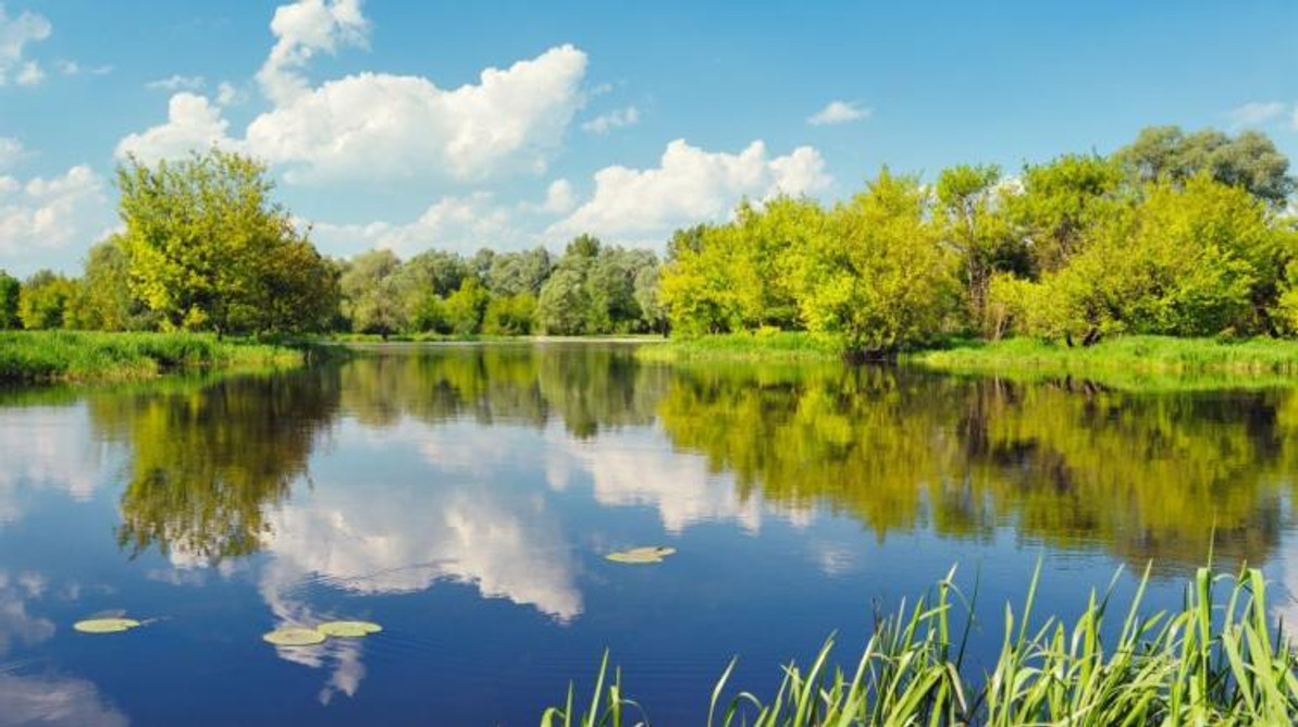 The Best Pond Weed Control Products Of 2022