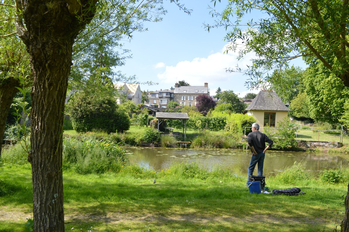 A Complete Guide to Farm Pond Algae Control