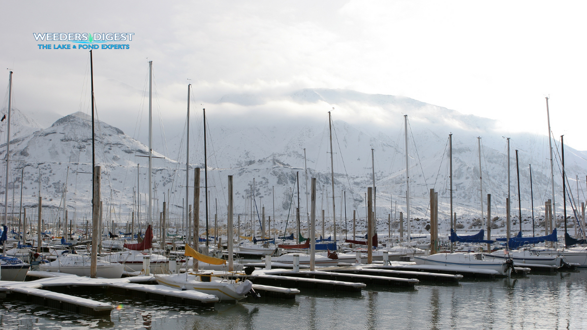 Ice Eaters Water Oxygen Levels: Prevent Ice & Protect Marinas