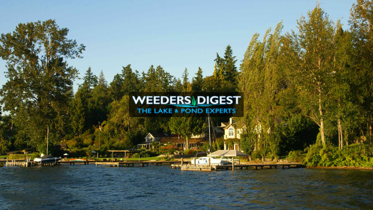 Boating Safety and Lake Etiquette: Enjoying Your Water Responsibly