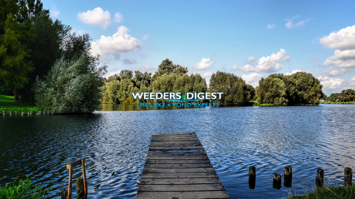 How to Remove Muck in Late Summer: Effective Tools and Techniques for Cleaner Lakes