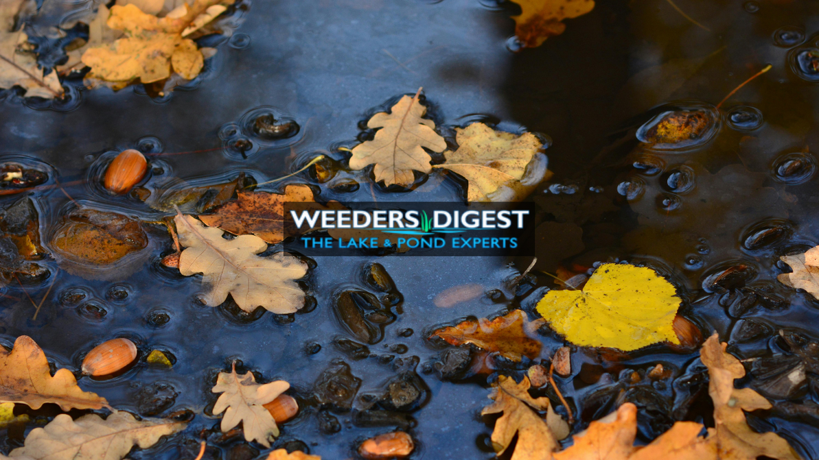 How Long Should You Run a Pond Aerator in Fall?