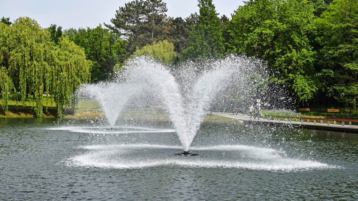 Pond Fountain Benefits: Water Quality & Ecosystem Health