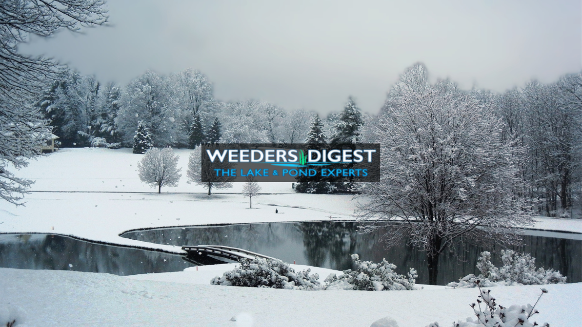 Winter Pond Care Essentials: Protecting Your Pond or Lake from Freezing