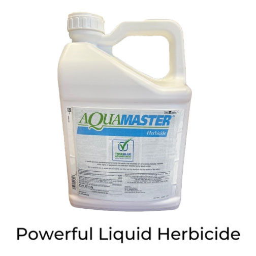 grassland herbicide Grassland Weed Control main image 0