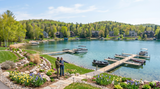 DIY Lake Weed Removal vs. Professional: April Decisions