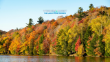 Fall Pond Maintenance: Muck, Weeds & Aeration Before Winter