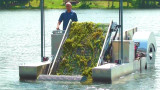 Lake Harvester for Sale: Your Buying Guide