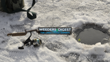 Ice Fishing Essentials: Gear and Tips for a Successful Season