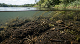 Lake Muck Removal: Solutions for a Cleaner Waterfront