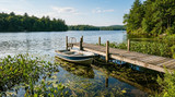 Summer Lake Weeds? Find Your Lake Weed Removal Solution