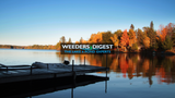 Mechanical vs. Chemical Lake Weed Removal in Fall