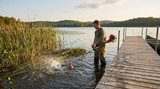 Motorized Lake Weed Cutters: August’s Top Picks