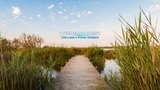 Natural Pond & Lake Weed Control with 4 Proven Tools