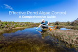 ​Effective Pond Algae Control: A Comprehensive Guide