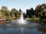 Pond Fountain Guide: Benefits, Types, and Tips