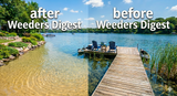 Discover Weeders Digest: Lake & Pond Experts