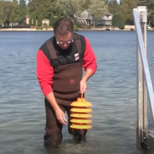 Zebra Mussel Trap | Yellow Metal Eco-Friendly
