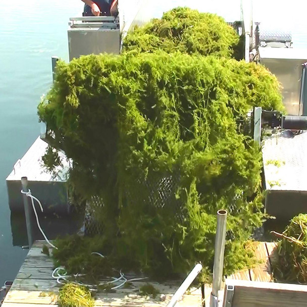 Weeds Collected Lake Weed Harvester Eco-Harvester