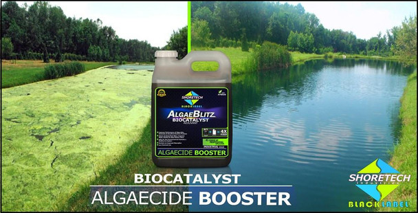 Algae-Blitz Aquatic Biocatalyst Adjuvant Algaecide Booster Product