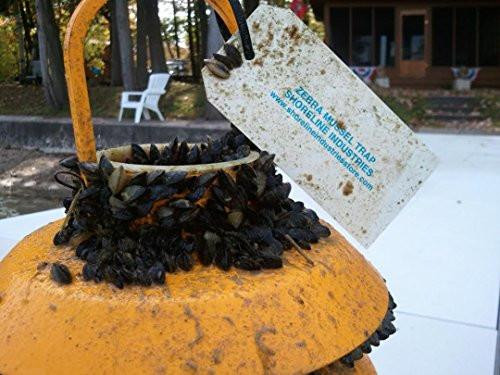 Zebra Mussel Trap | Yellow Metal Eco-Friendly