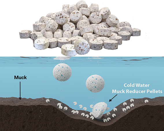 Cold Water Muck Reducer Pellets