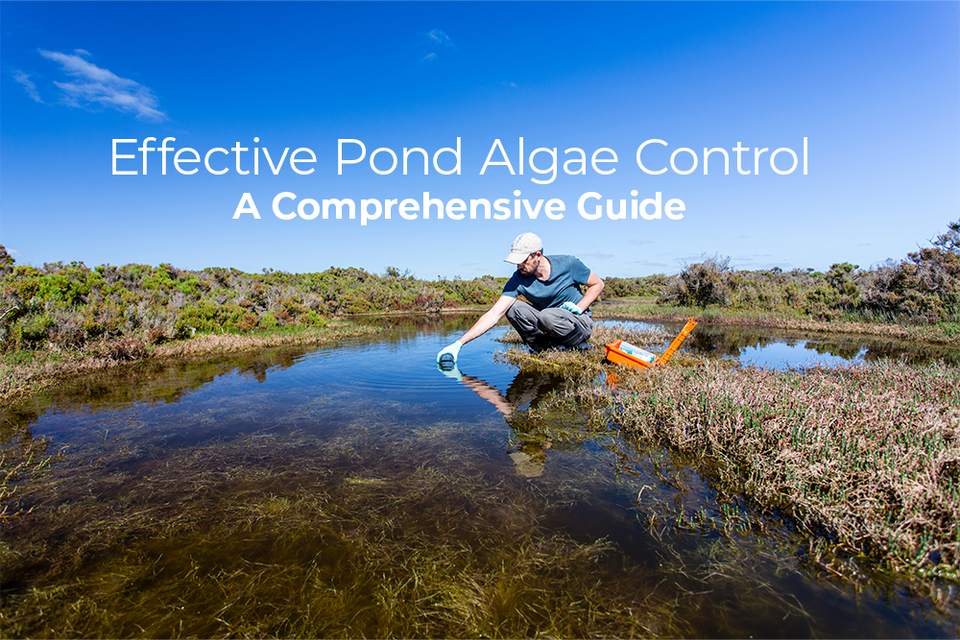 Effective Pond Algae Control A Comprehensive Guide The Weeders Digest
