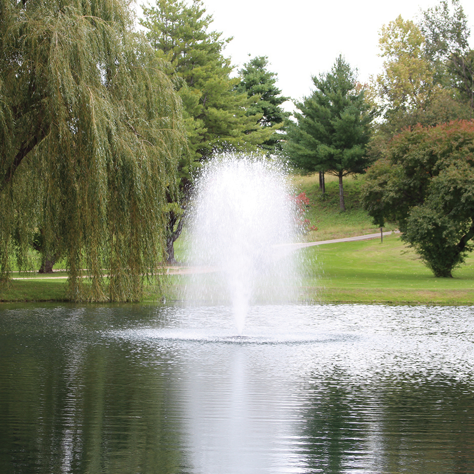 Pond Fountain | Pond Water Fountains | Small Pond Fountains