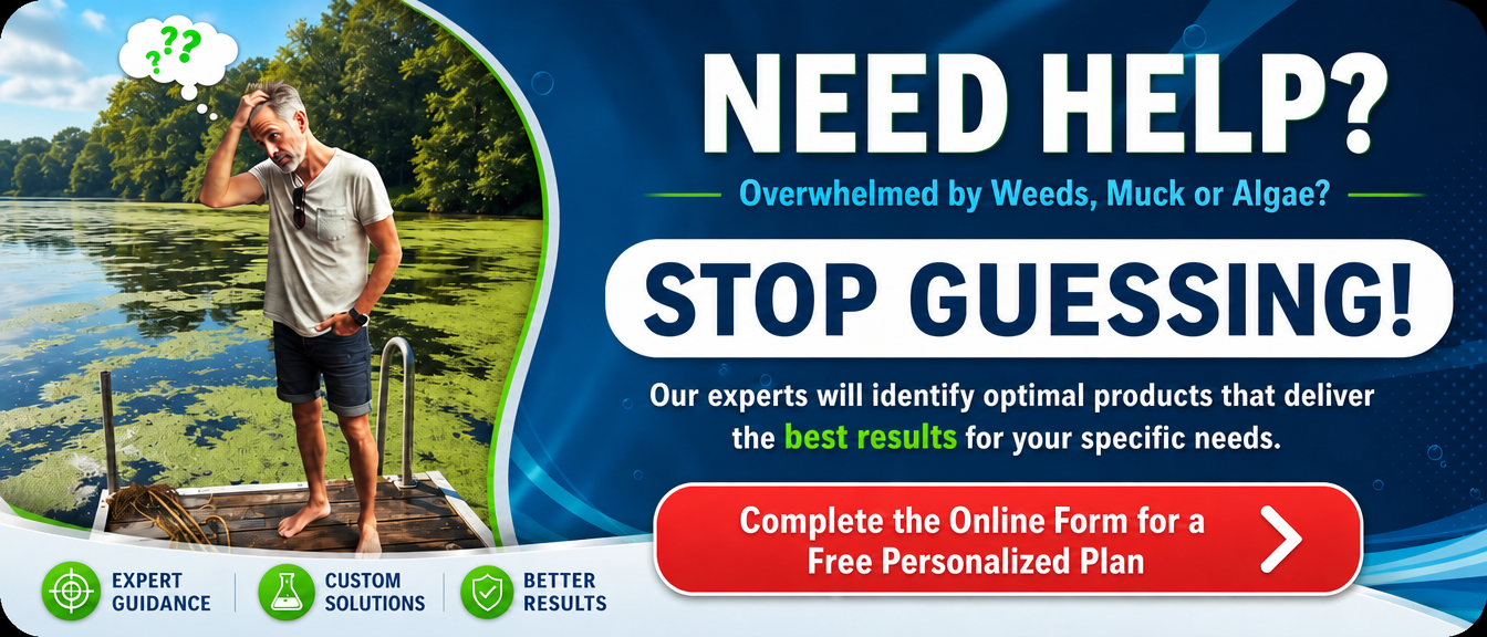 Weeders Digest Shoreline Assessment