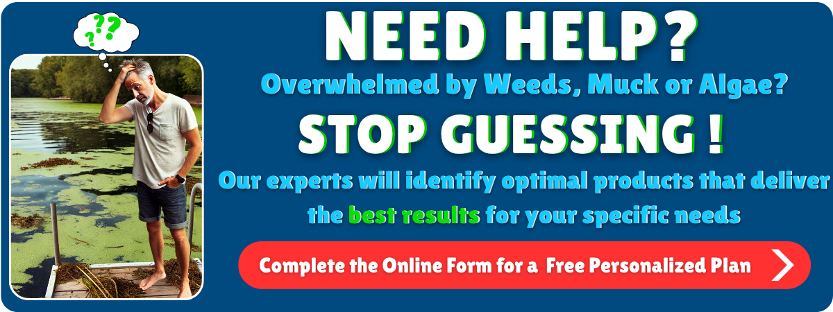 Weeders Digest Shoreline Assessment