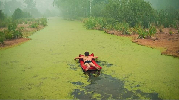 algae-lakeweed-lake-pond-23.png