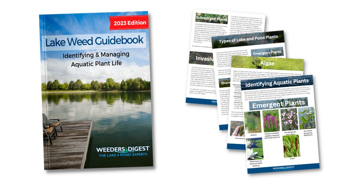 lake-weed-guidebook-preview-pages.jpg