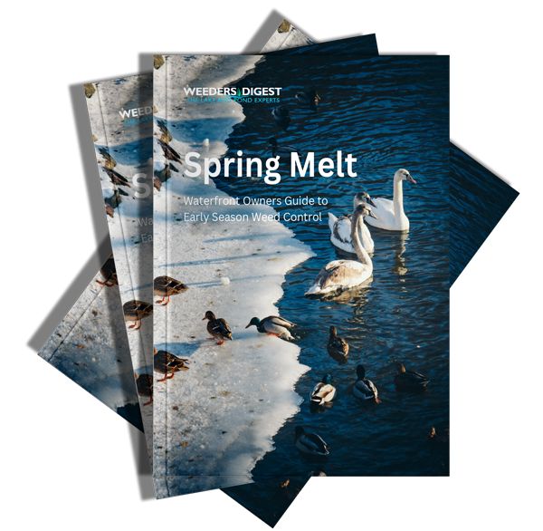 spring-melt-cover-images.png