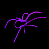 21" LED Rope Light Purple Spider Silhouette Motif Display