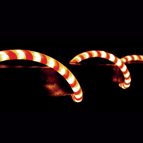 In this delightful photo, a 36' CROWN LED Candy Cane Rope Light steals the spotlight. Stretching across the frame, the rope light is adorned with alternating red and white candy cane stripes, instantly evoking the spirit of the holiday season. The vibrant colors and gentle glow create a whimsical and festive ambiance. The 36-foot length allows for versatile placement, whether it's winding around a Christmas tree, framing a porch, or illuminating a walkway. This photo captures the joy and excitement of the holiday season, showcasing the CROWN LED Candy Cane Rope Light as a must-have addition to your Christmas decor. Get ready to delight and enchant both young and old with the charming allure of this captivating lighting display. In this delightful photo, a 36' CROWN LED Candy Cane Rope Light steals the spotlight. Stretching across the frame, the rope light is adorned with alternating red and white candy cane stripes, instantly evoking the spirit of the holiday season. The vibrant colors and gentle glow create a whimsical and festive ambiance. The 36-foot length allows for versatile placement, whether it's winding around a Christmas tree, framing a porch, or illuminating a walkway. This photo captures the joy and excitement of the holiday season, showcasing the CROWN LED Candy Cane Rope Light as a must-have addition to your Christmas decor. Get ready to delight and enchant both young and old with the charming allure of this captivating lighting display.