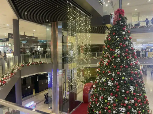 Commercial Christmas Light Installer Training – Registration