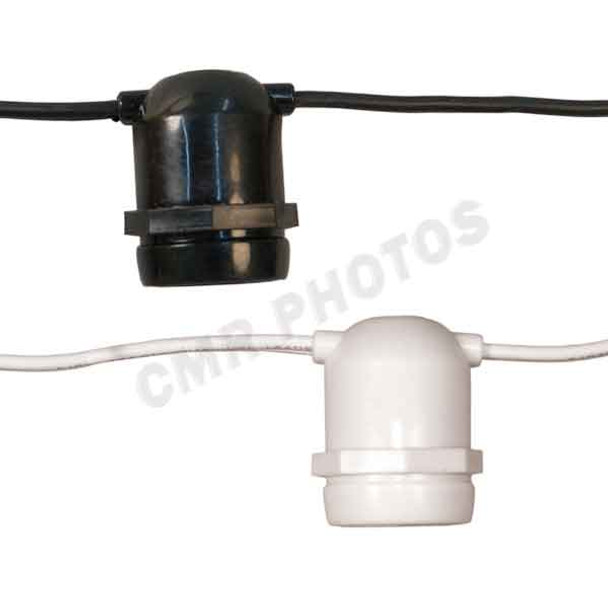 2-WIRE 10A STEADY BURN BELT LIGHT - Color Options