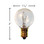24V 5 WATT SPORTS ARENA GAME BULB - Pack (10 bulbs)