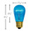 11S14 Sign Bulb Transparent Aqua