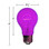 25 watt A19 Purple