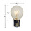 10 watt S11 Transparent Clear