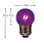 7 watt G12.5 Transparent Purple