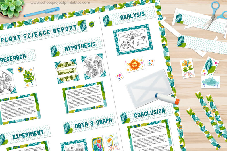 How to Make a Science Fair Display Board - For Plant Science Projects ...