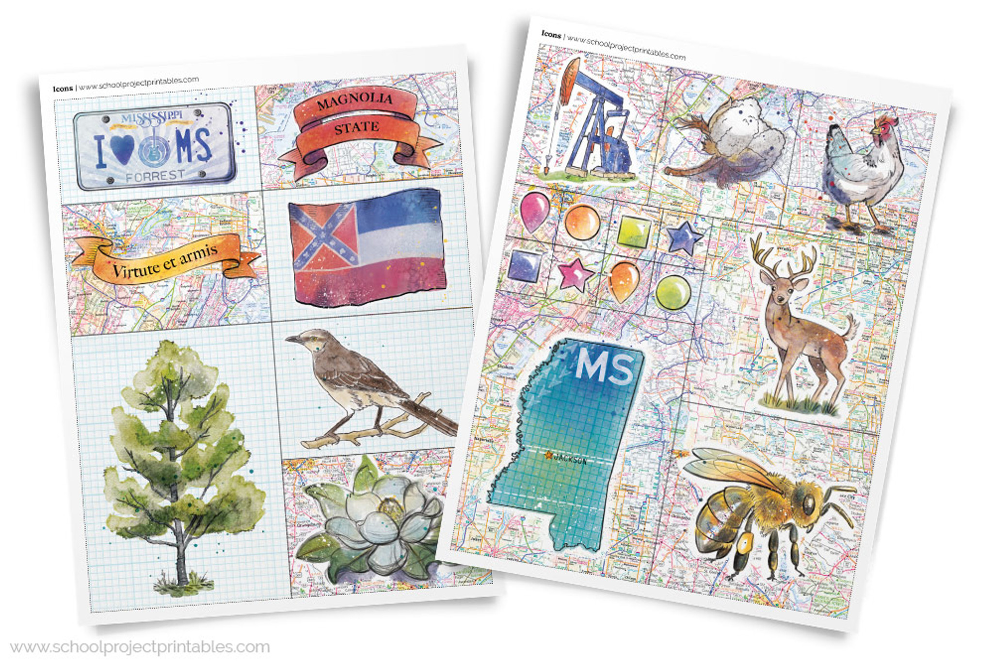 Mississippi State Report Clip Art Icon Symbols Set School Project