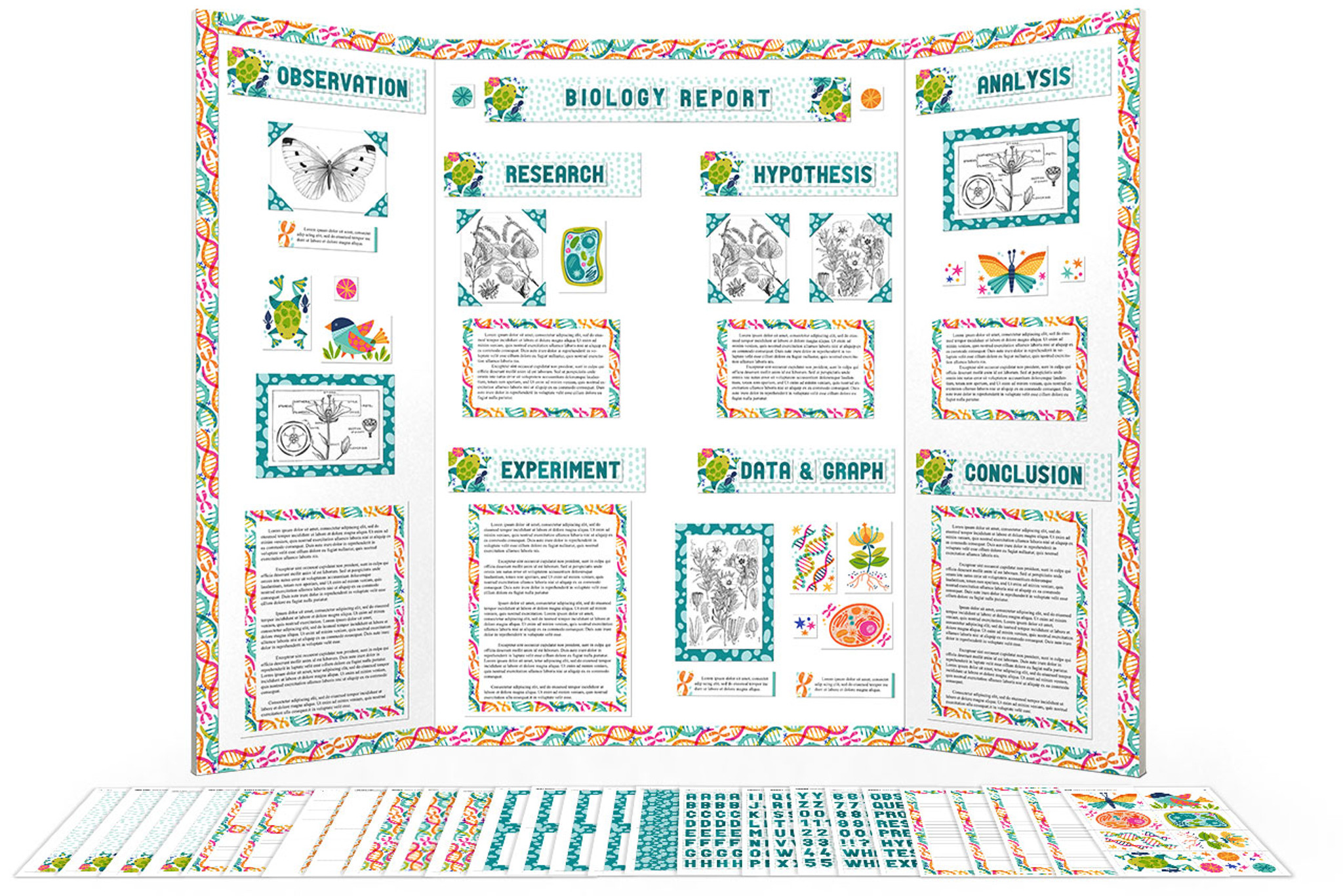 Biology Science Fair - Display Board Poster Project Kit - School Project  Printables