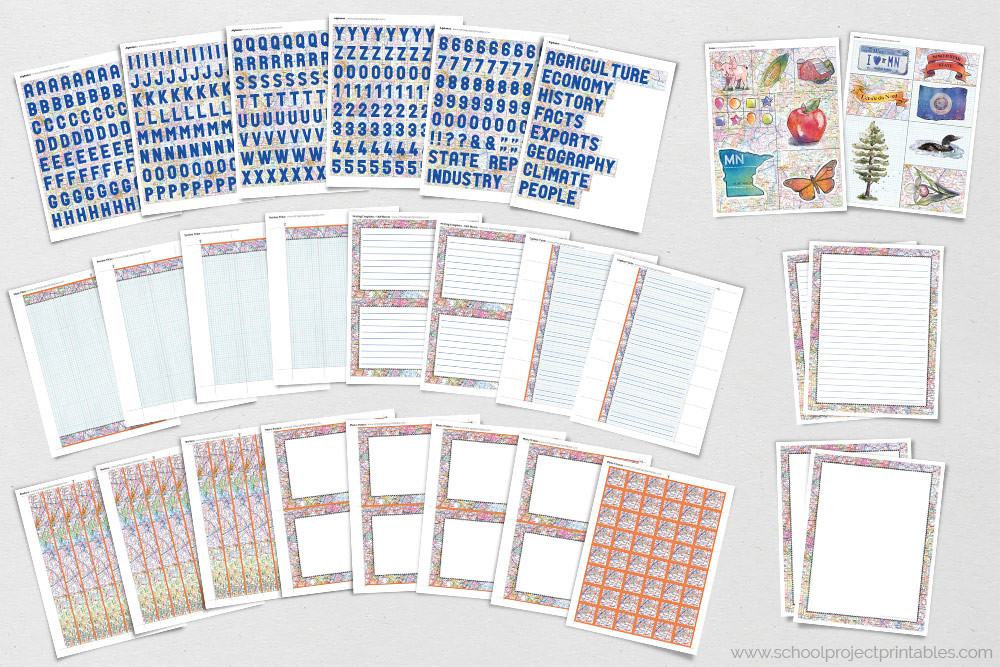 Minnesota State Report Display Board Poster Project Kit