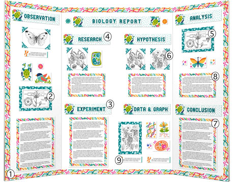 Finished Biology Science Fair Project display board with the pieces included in the kit labeled