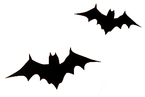 bats-right.jpg