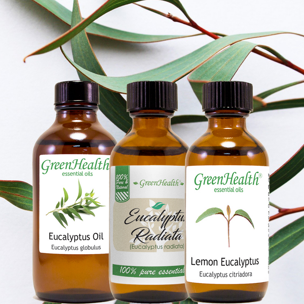 3 Types of Eucalyptus Oils Available Now!